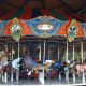 Zootenial Carousel